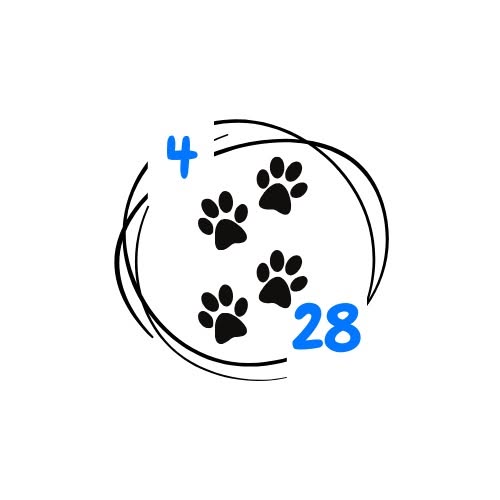 4 pattes 28