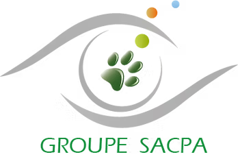 Logo Groupe Vertical